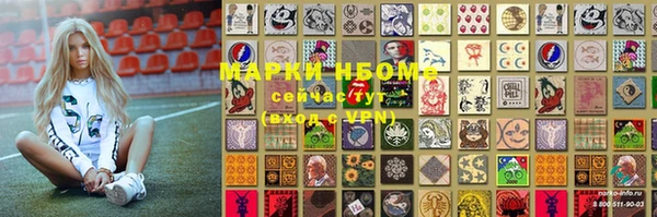 мдпв Дубна